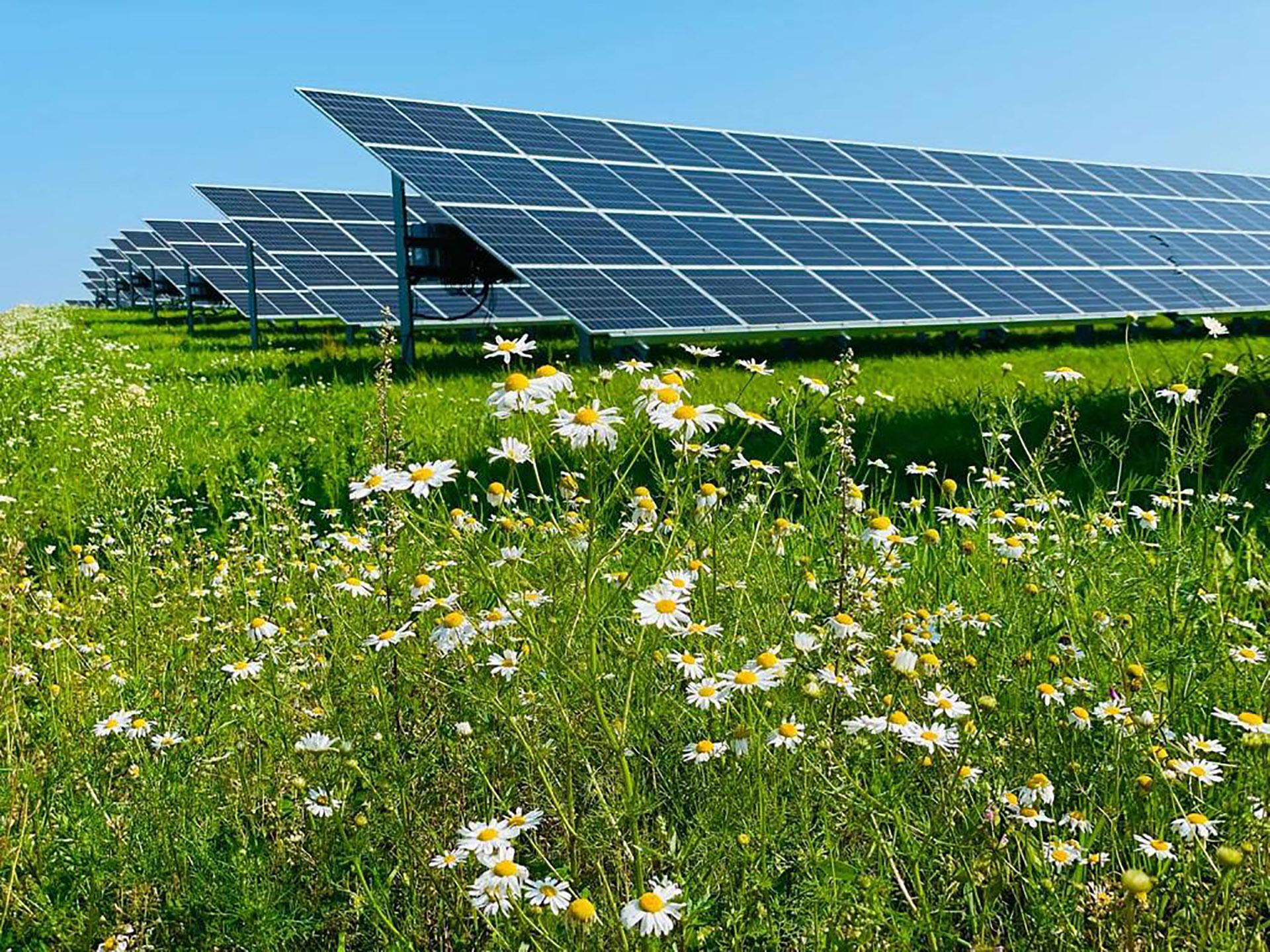 Evecon and Mirova set up a renewable energy platform which will build